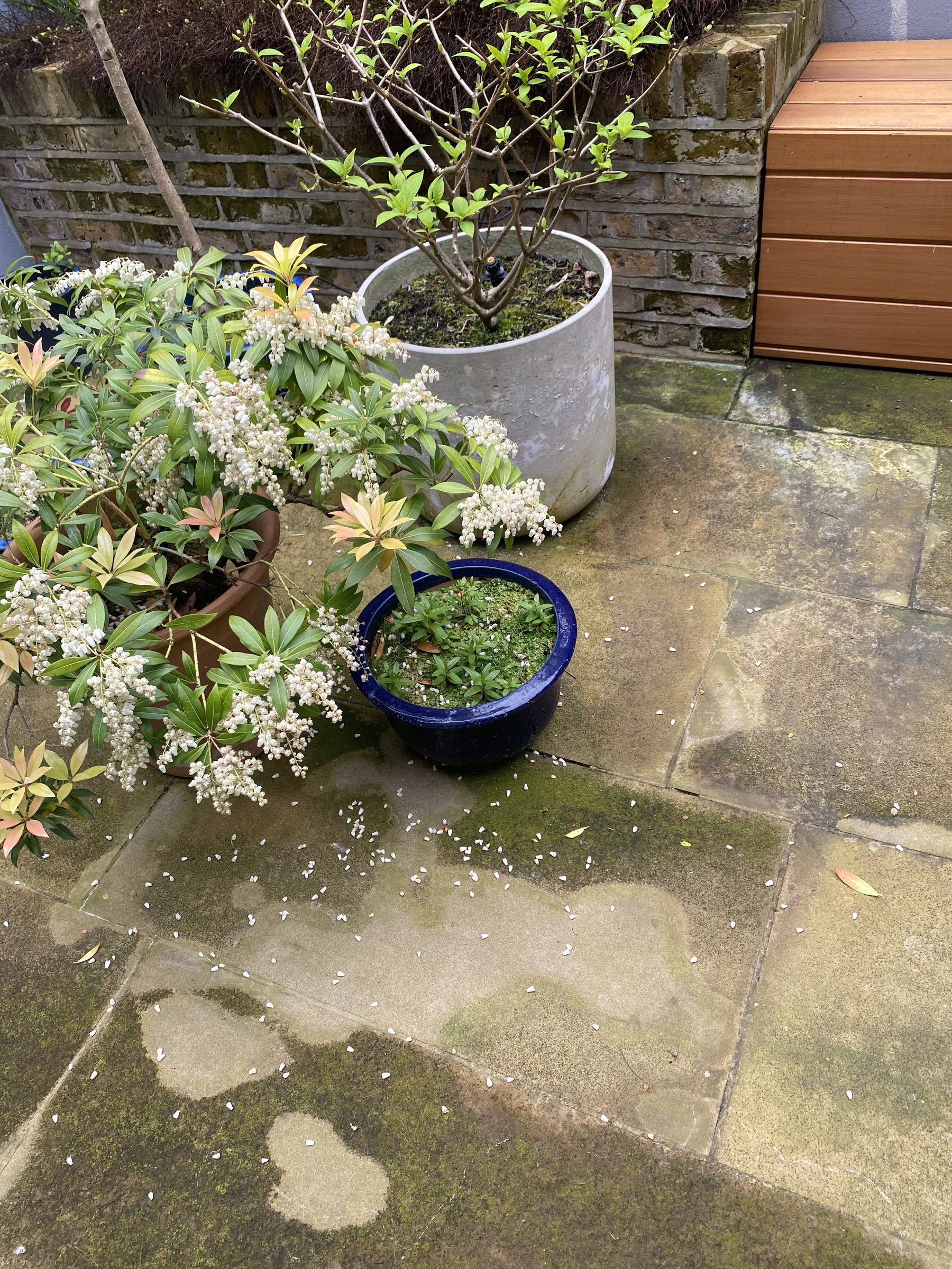 What Those Dark Marks on a Patio Usually Mean