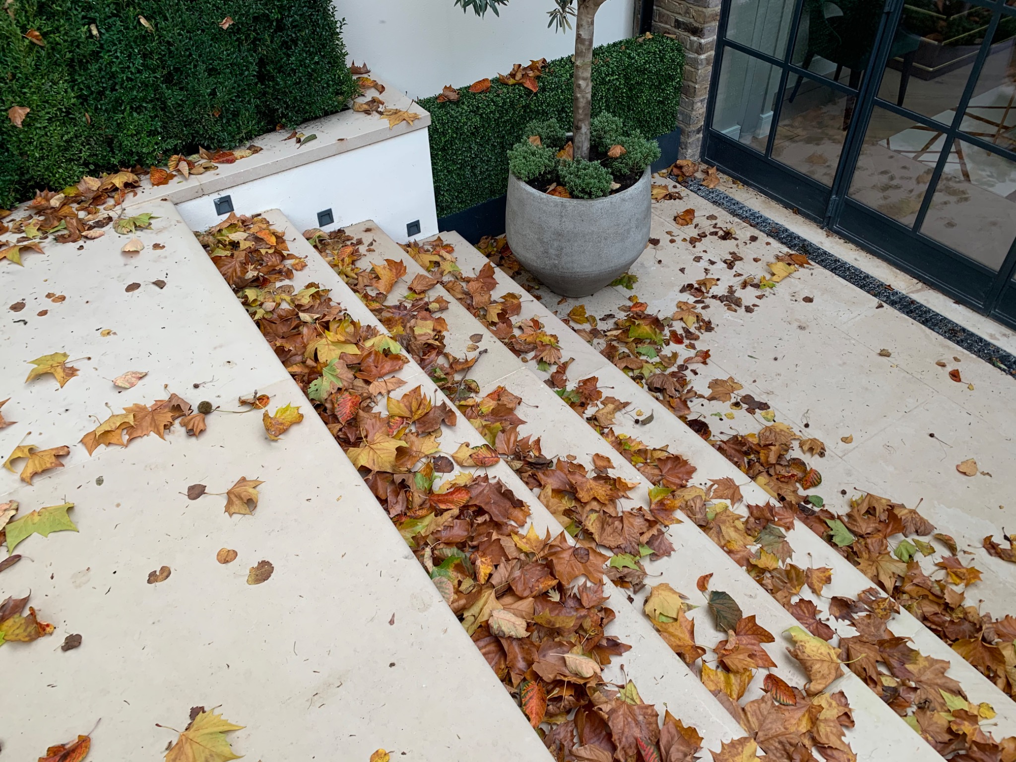 What Autumn Leaves Actually Do to Garden Surfaces